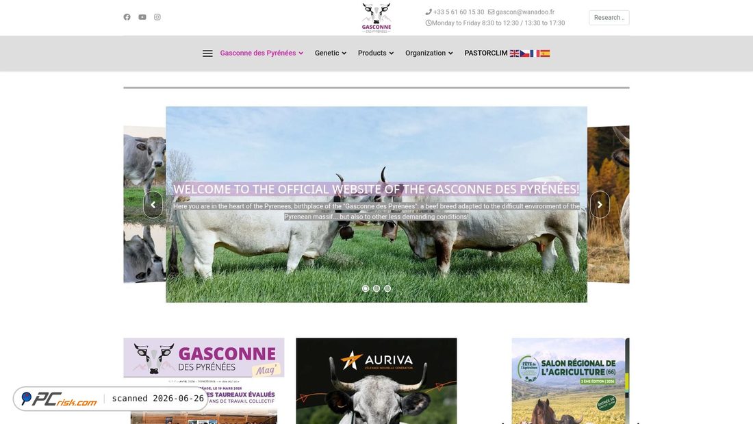 Screenshot of gasconne.com