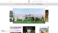 gasconne.com screenshot