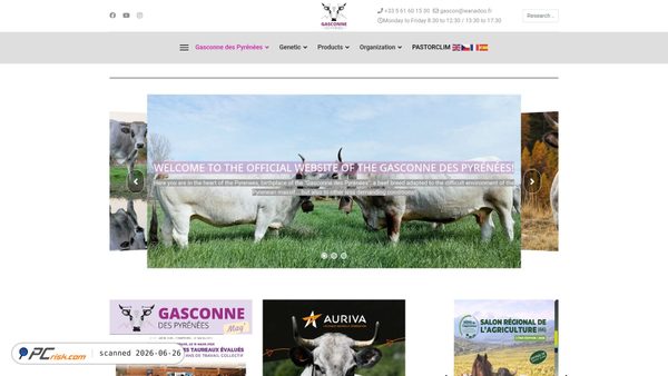 gasconne.com screenshot