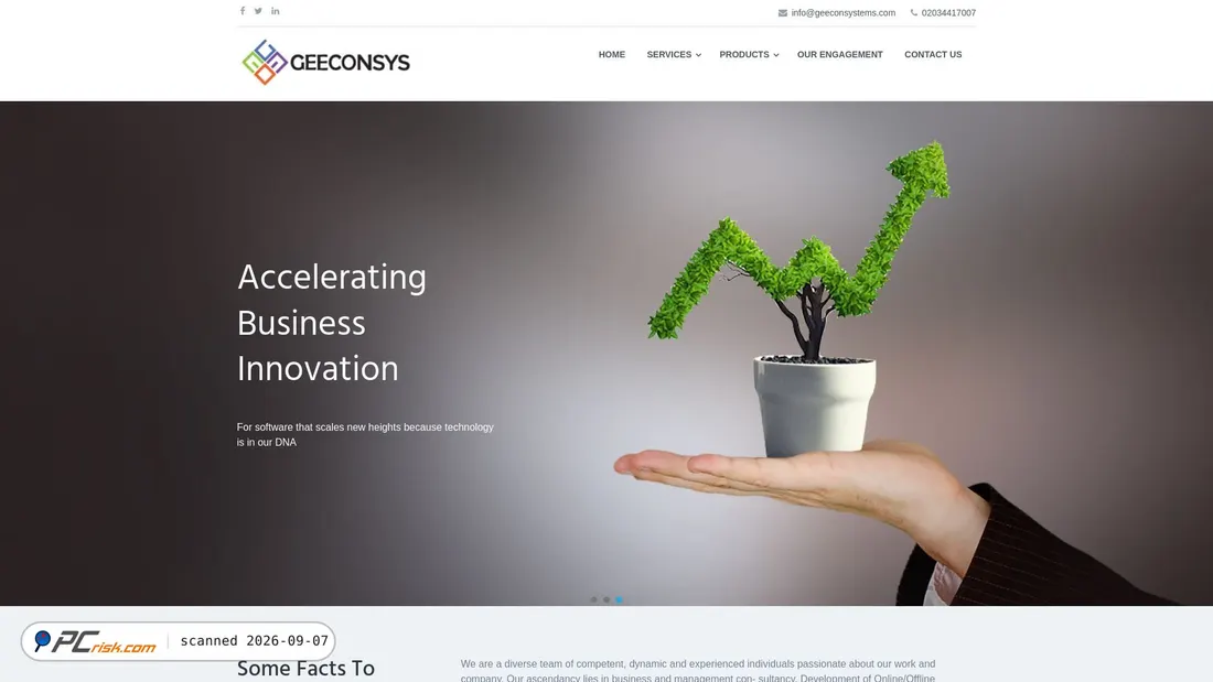 Captura de pantalla de geeconsys.webdevelopment-server.com