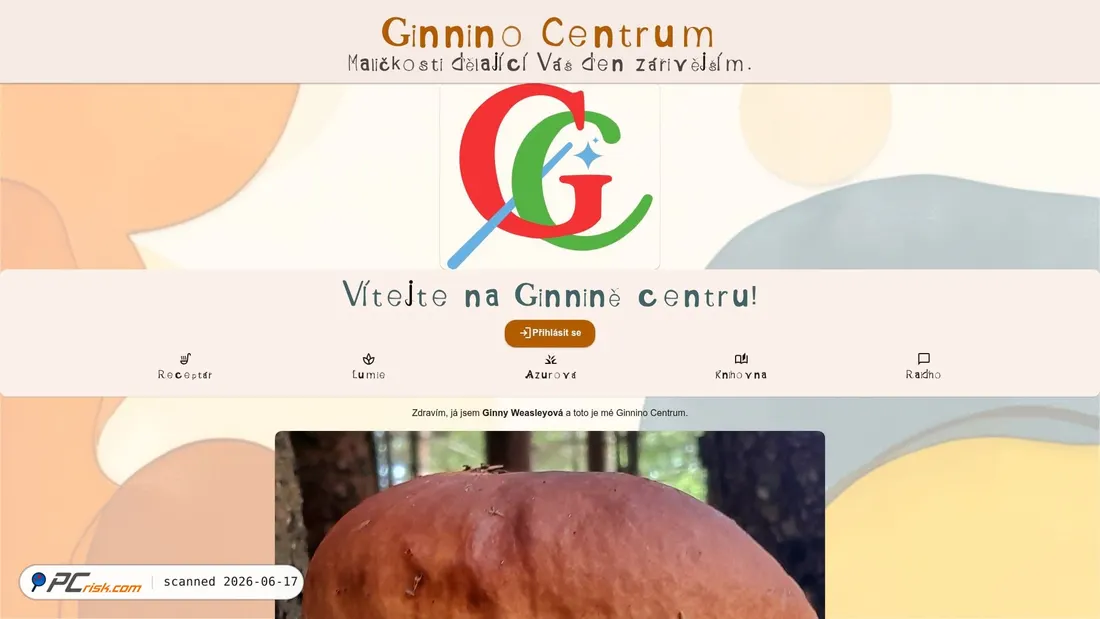 Screenshot of ginnino.nett.to