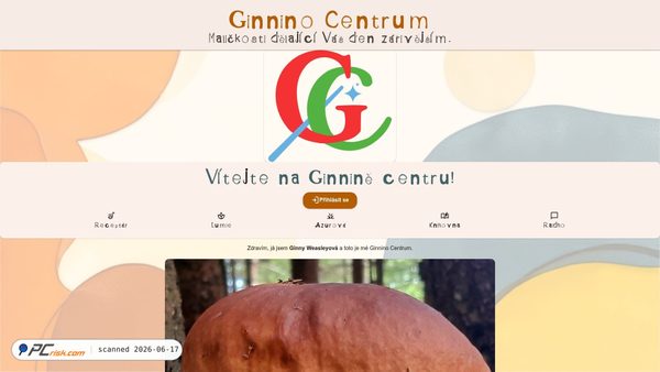 ginnino.nett.to screenshot