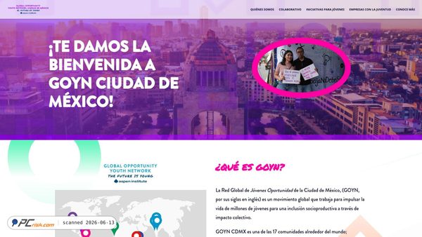 goynmexico.org screenshot