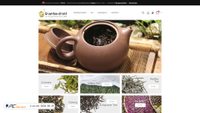 gruentee-direkt.de screenshot