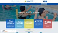 haddadorganizacao.com.br screenshot