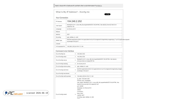 ifconfig.me screenshot