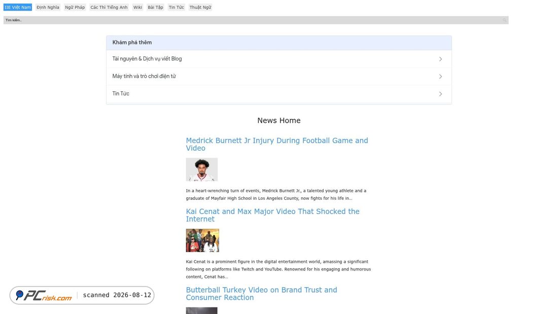 Screenshot of iievietnam.org