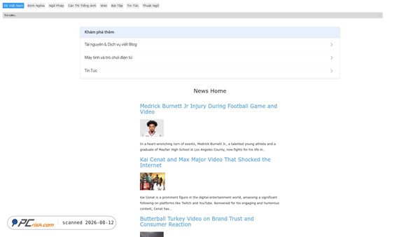 iievietnam.org screenshot