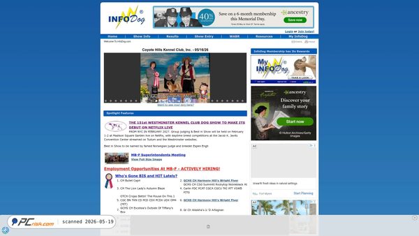infodog.com screenshot