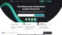 insales.ru screenshot