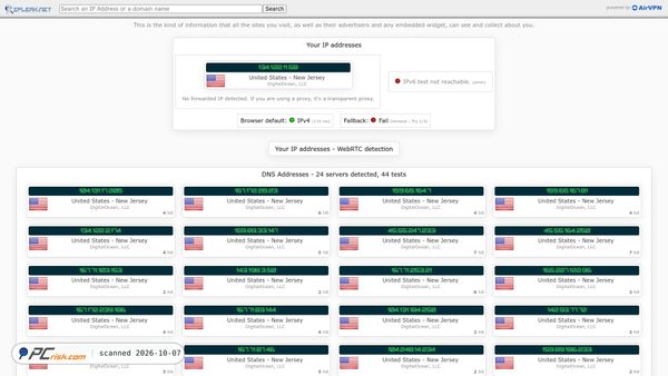 Screenshot di ipleak.net