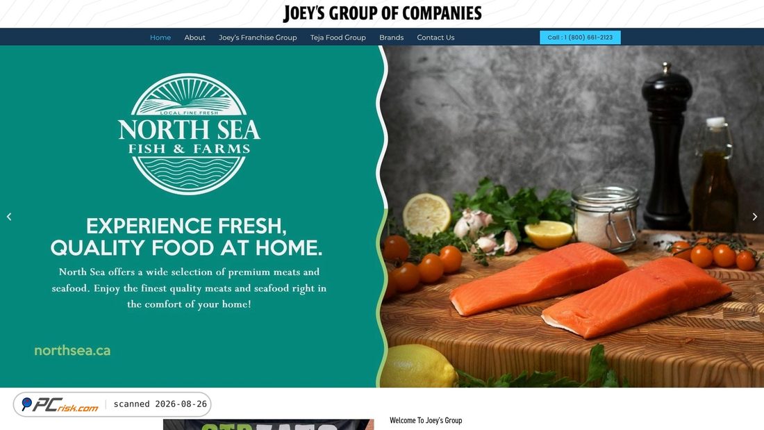 Screenshot von joeysgroup.ca