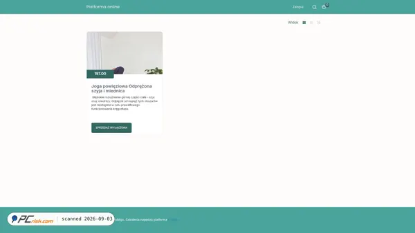 jogaterapeutyczna.online Screenshot