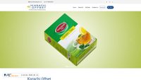 karachioffset.com screenshot