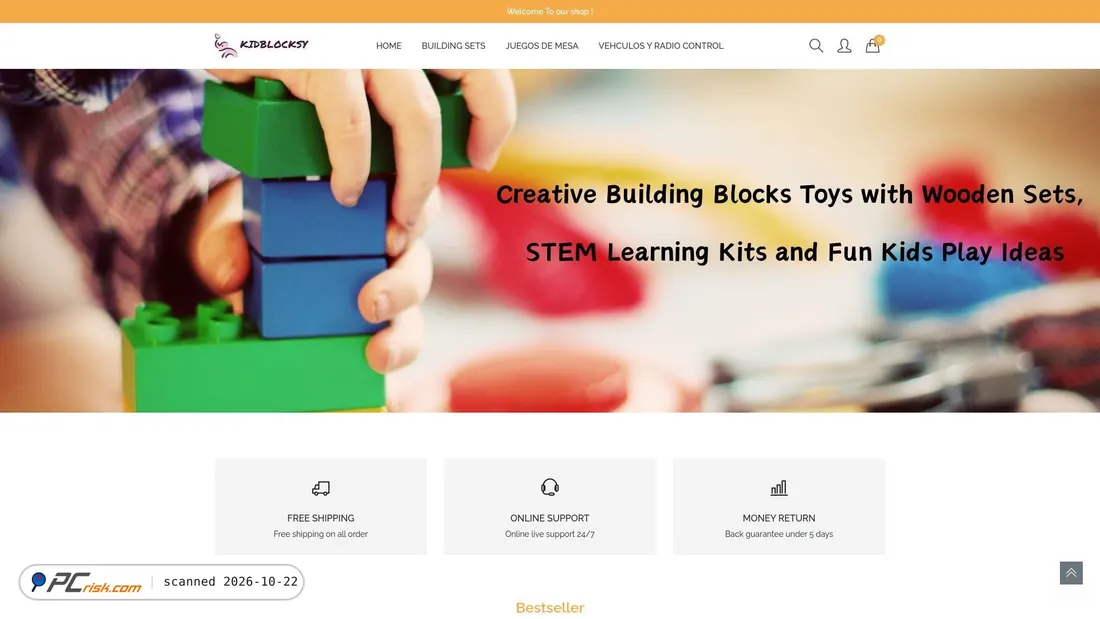 Screenshot of kidblocksy.com