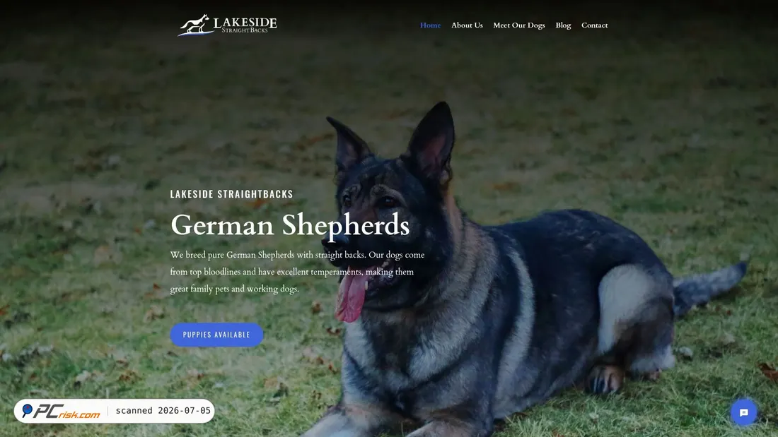 Screenshot of lakesidestraightbacks.com
