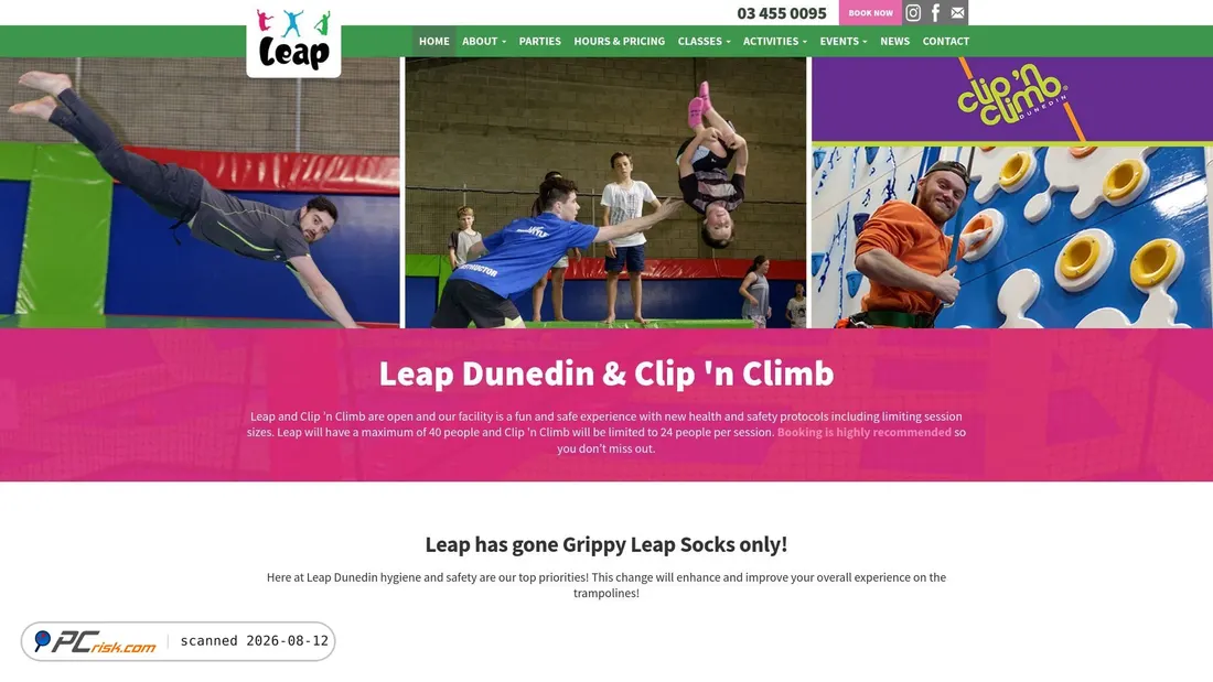 Screenshot of leapdunedin.nz