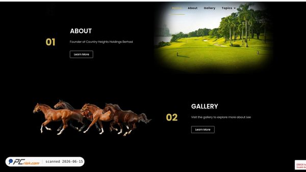 leekimyew.com screenshot