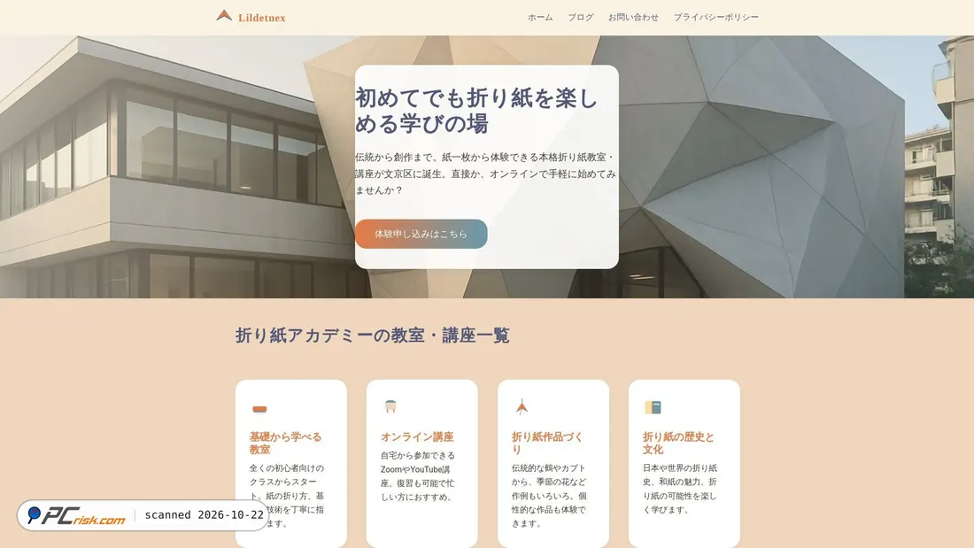 Screenshot of lildetnex.pro
