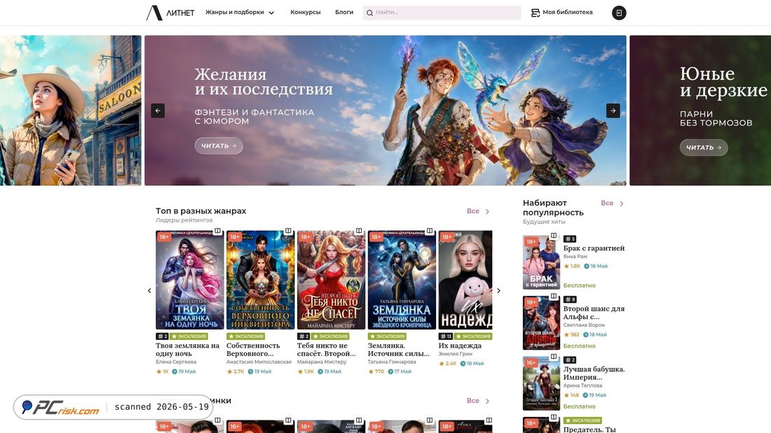 Screenshot of litnet.com