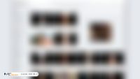 lolpol.com screenshot