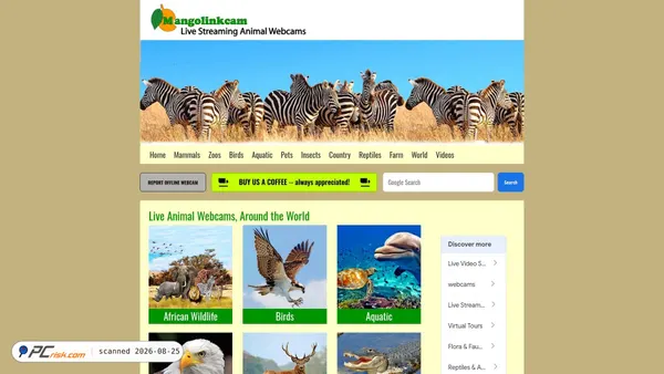 mangolinkcam.com screenshot