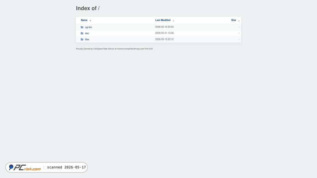 Screenshot of maxmcnownphilanthropy.com