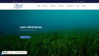merresearch.com screenshot