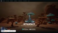 metaspacechains.com screenshot