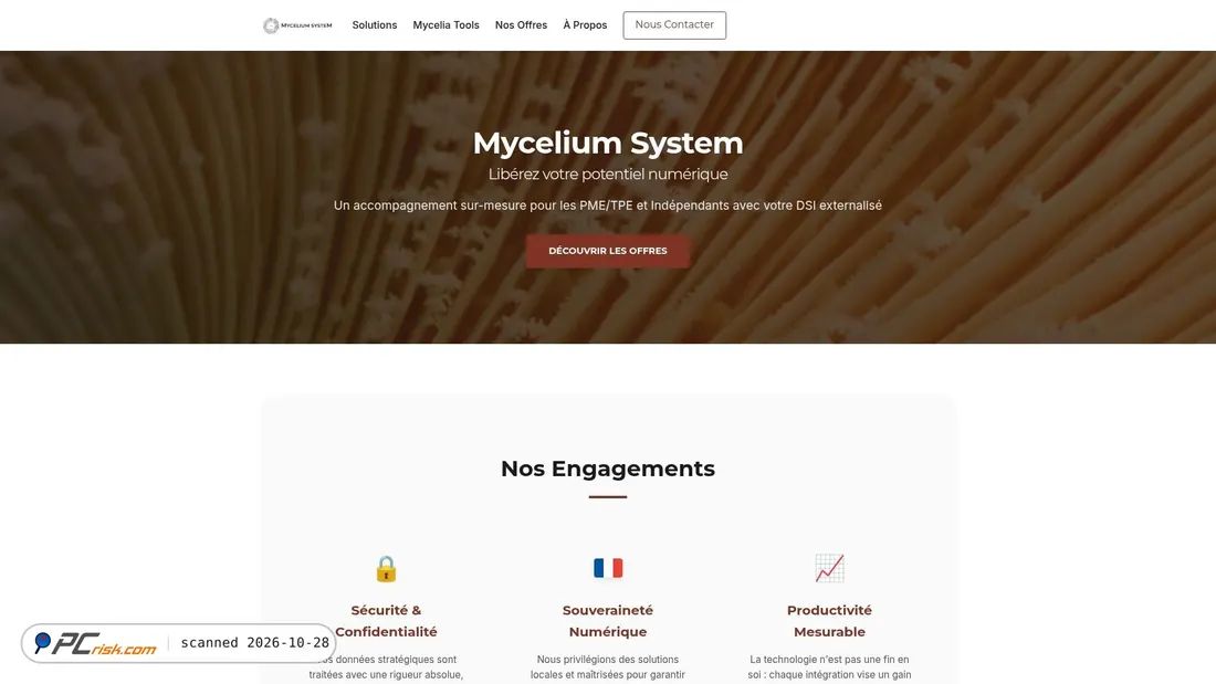 Screenshot di myceliumsystem.fr