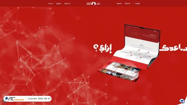 nab.com.eg Screenshot