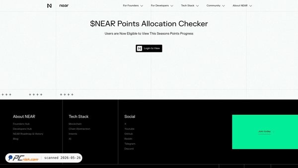 nearprotocol-checker.xyz screenshot
