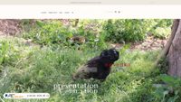 nevenka.com.au screenshot