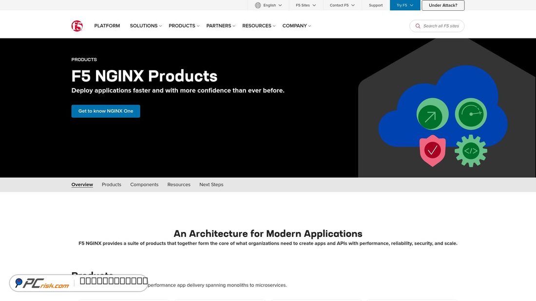 Screenshot von nginx.com