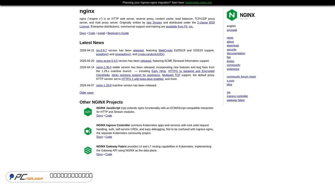 Screenshot von nginx.org