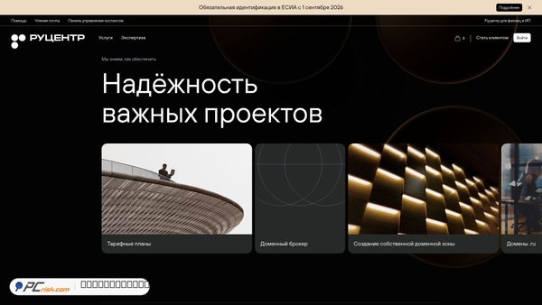 nic.ru Screenshot
