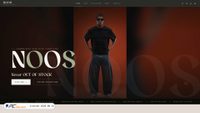 nooseg.com screenshot