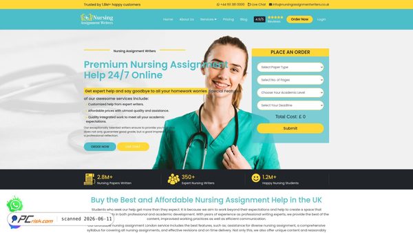 nursingassignmentwriters.co.uk screenshot