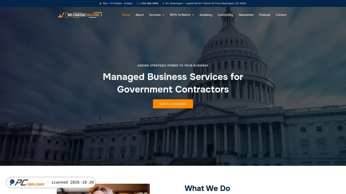 Captura de pantalla de nvsstrategicsolutions.com