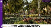 nyu.edu screenshot