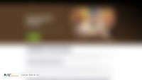 online-casino-vip.com screenshot
