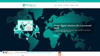 paintbrushsolutions.com screenshot
