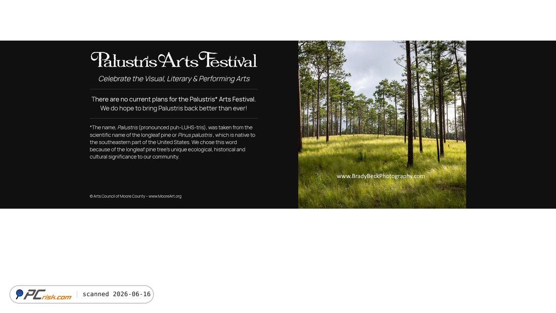 Zrzut ekranu palustrisfestival.com