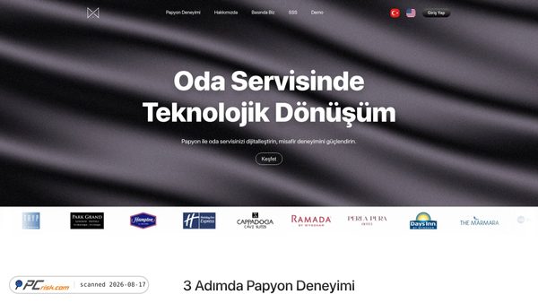 papyonsolutions.com screenshot