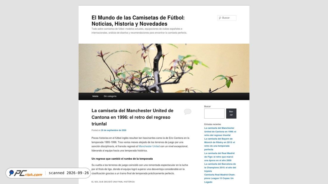 Screenshot of pasioncamiseta.com