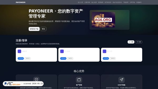 payoneergw.com.cn screenshot
