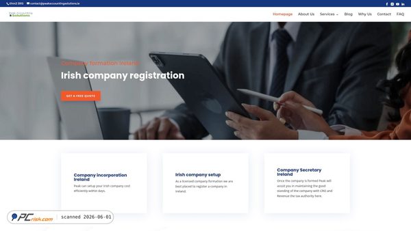 peakaccountingsolutions.ie screenshot