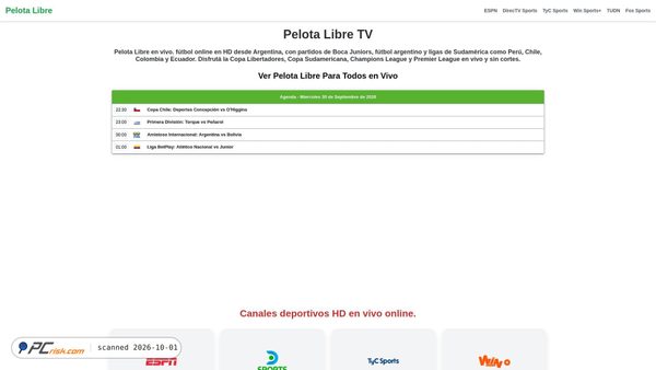 pelotalibre.la screenshot