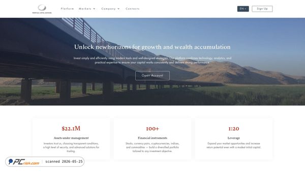 perpetualadvs.com screenshot