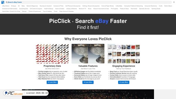 picclick.com screenshot